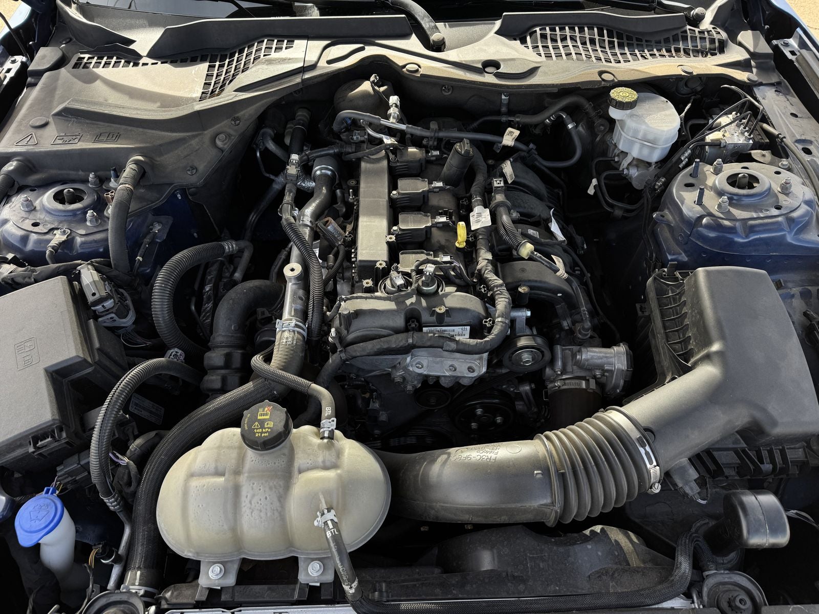 2022 Ford Mustang EcoBoost