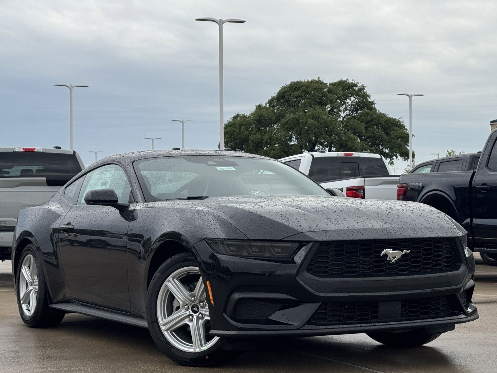 2026 Ford Mustang EcoBoost