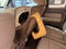 2010 Ford F-150 XLT