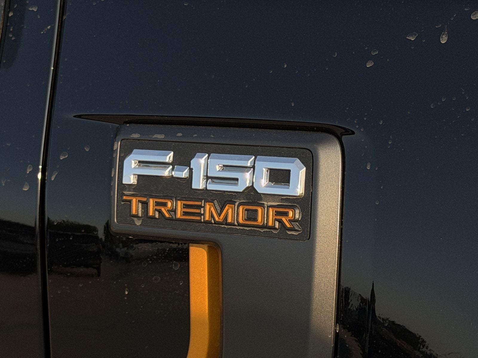 2026 Ford F-150 Tremor®
