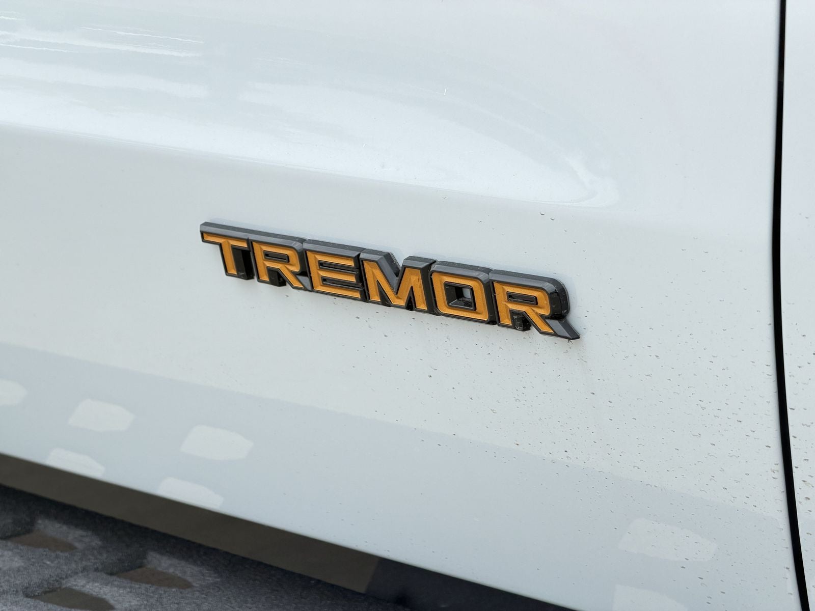 2026 Ford Expedition Tremor®