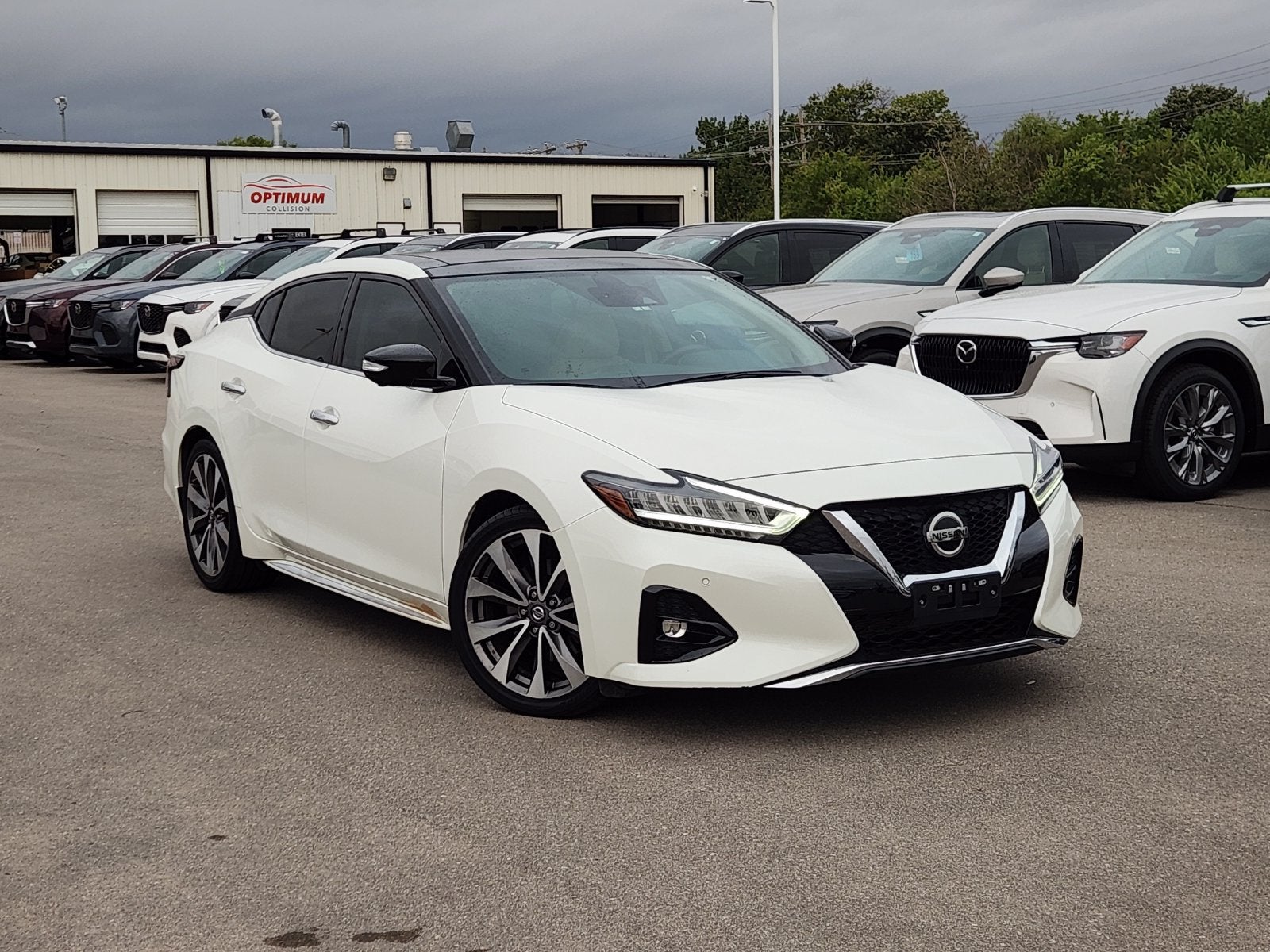 2019 Nissan Maxima Platinum