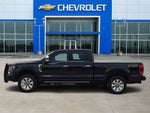 2021 Ford F-250 Platinum