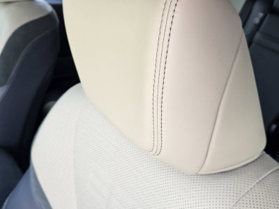 2024 Lexus GX 550 Overtrail+