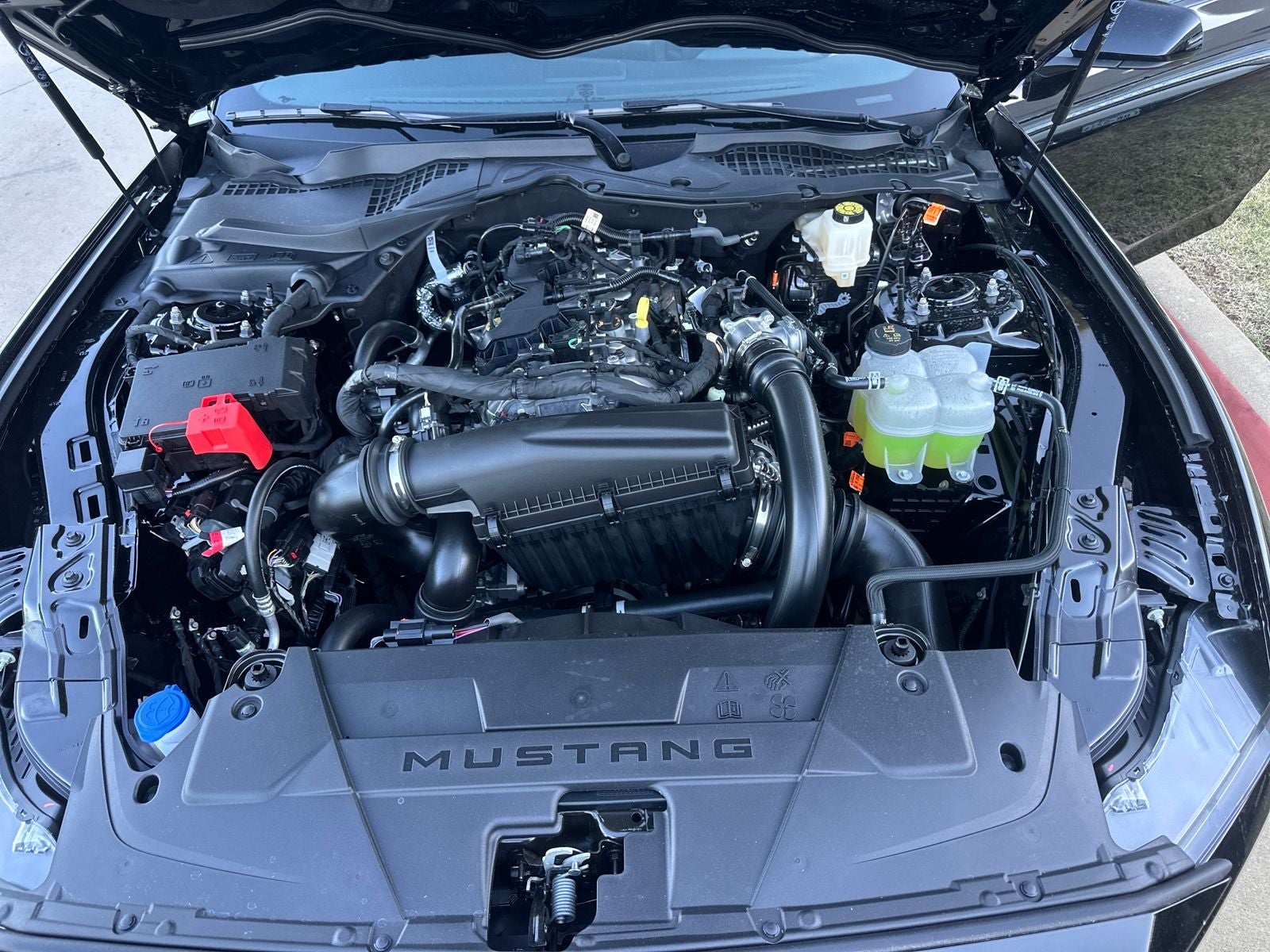 2026 Ford Mustang EcoBoost