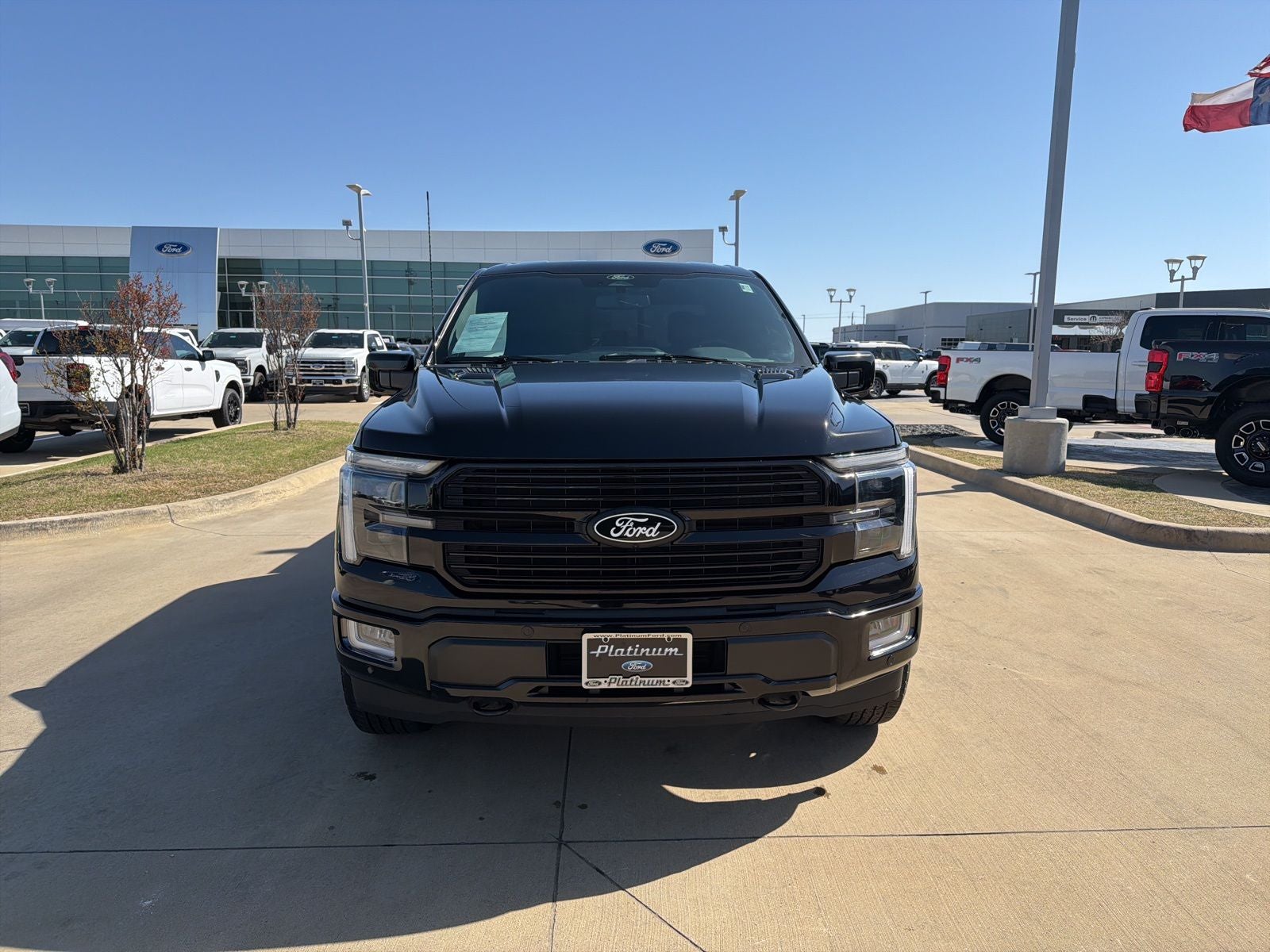 2025 Ford F-150 Platinum